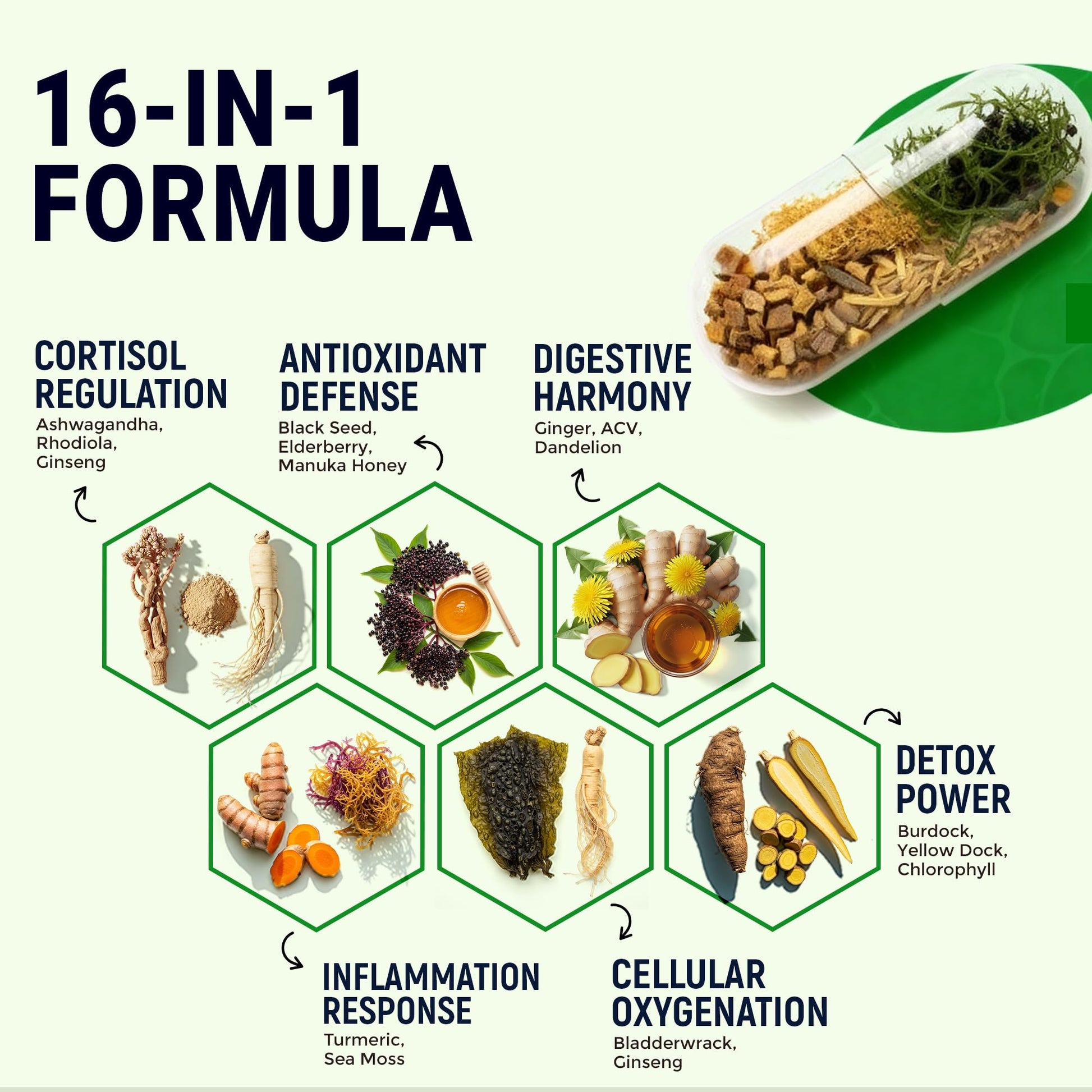 Sea Moss Black Seed Oil Ashwagandha Ginger - Advanced Irish Sea Moss Capsules All in One Supplement with Seamoss Black Seed Oil Ashwagandha Burdock Root Bladderwrack - Pills for Energy, Immune, Gut - dailyvitalstore