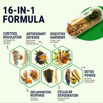 Sea Moss Black Seed Oil Ashwagandha Ginger - Advanced Irish Sea Moss Capsules All in One Supplement with Seamoss Black Seed Oil Ashwagandha Burdock Root Bladderwrack - Pills for Energy, Immune, Gut - dailyvitalstore