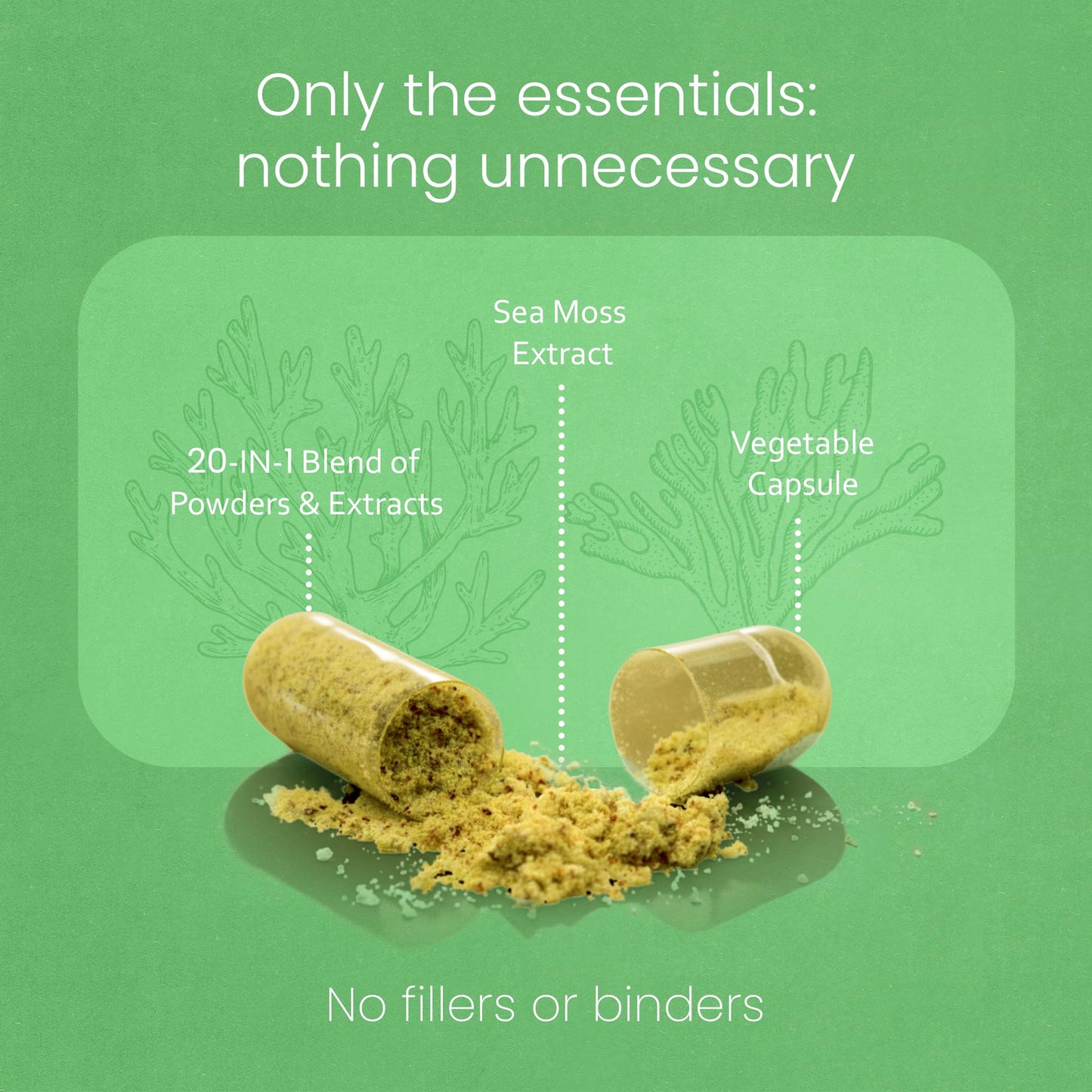 Sea Moss, Black Seed Oil, Bladderwrack, Turmeric, Ashwagandha, Burdock, Vitamin C, D3, Yellow Dock Root, Manuka, Dandelion - 90 Veggie caps - dailyvitalstore