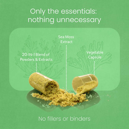 Sea Moss, Black Seed Oil, Bladderwrack, Turmeric, Ashwagandha, Burdock, Vitamin C, D3, Yellow Dock Root, Manuka, Dandelion - 90 Veggie caps - dailyvitalstore
