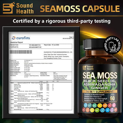 Sea Moss Capsules with Ashwagandha, Turmeric, Bladderwrack, Vitamins C & D for Natural Energy, Sleep Support & Hair Growth, 1200mg Herbal Blend, for Man & Women, Third-Party Tested，16-in-1 Supplement - dailyvitalstore