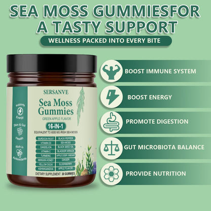 Sea Moss Gummies 16-in-1, with Black Seed Oil, Ashwagandha & Elderberry | Organic Irish Sea Moss Supplement for Men & Women | Daily Support with Manuka, Burdock Root & Vitamins C & D3, 30 Gummies - dailyvitalstore