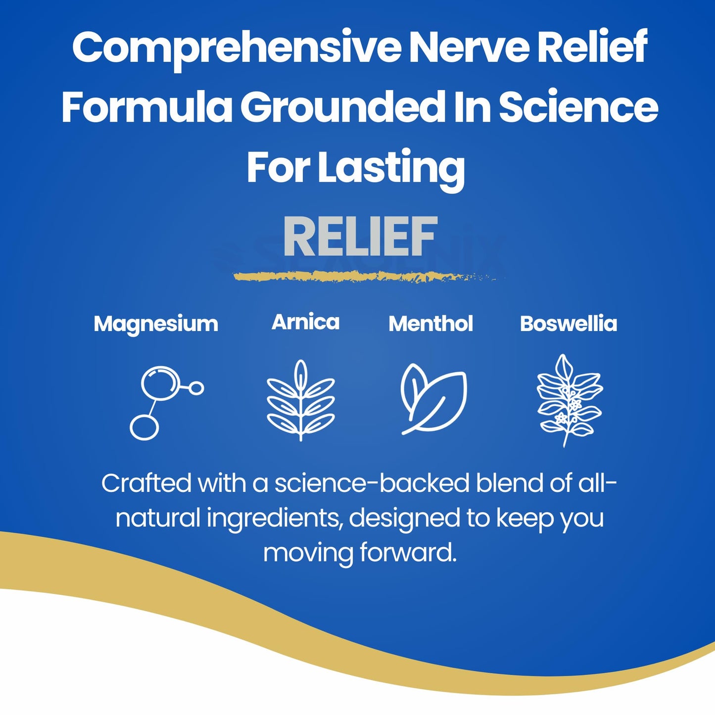 Seagenix Nerve Relief Muscle Foam - Nerve Spray Magnesium - Arnica - Boswellia - Menthol Formula - Nerve and Muscle Relief – Fast-Acting with Magnesium Sulfate - 150 ml - 1 Count - dailyvitalstore