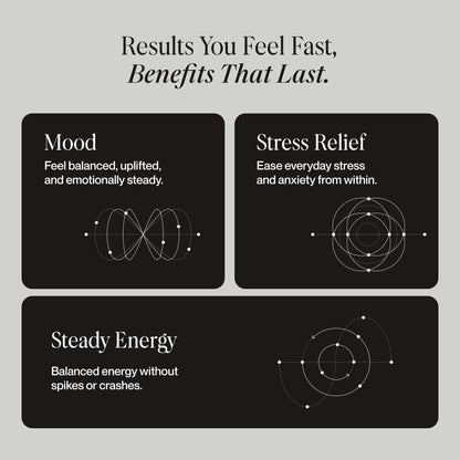 SecondKind Anxiety & Stress Relief Supplement – Saffron & Postbiotic Supplement for Emotional Support – 1000x More Active Ingredients Than Probiotics. Made with BiomeBalance™ in the USA, 60 Capsules - dailyvitalstore
