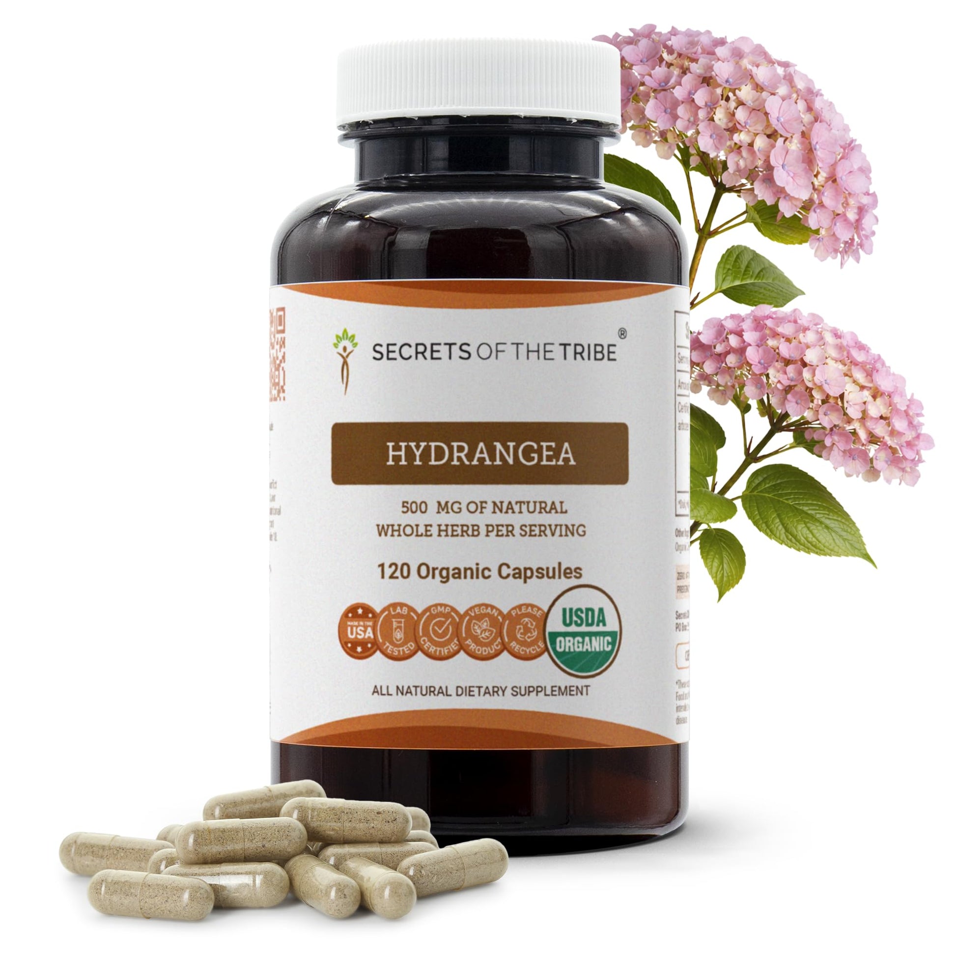 Secrets of the Tribe Hydrangea USDA Organic Capsules | Certified Organic Vegetarian Capsules, Herbal Dietary Supplement | Hydrangea arborescens Dried Root (120 Count) - dailyvitalstore