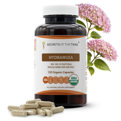 Secrets of the Tribe Hydrangea USDA Organic Capsules | Certified Organic Vegetarian Capsules, Herbal Dietary Supplement | Hydrangea arborescens Dried Root (120 Count) - dailyvitalstore