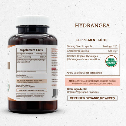 Secrets of the Tribe Hydrangea USDA Organic Capsules | Certified Organic Vegetarian Capsules, Herbal Dietary Supplement | Hydrangea arborescens Dried Root (120 Count) - dailyvitalstore