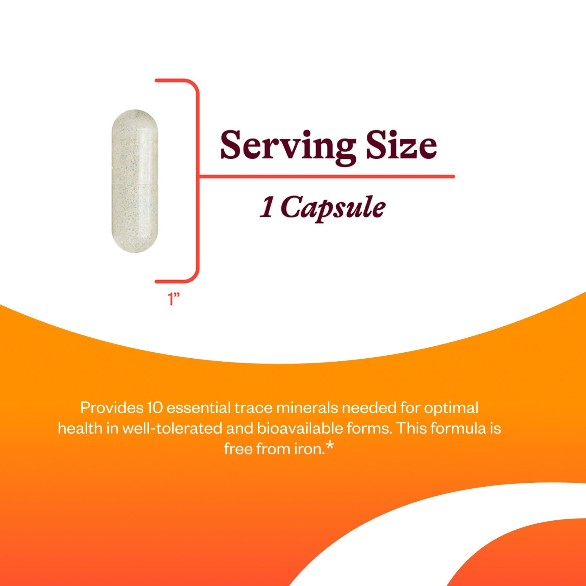 Seeking Health Trace Minerals Complex - Includes 10 Essential Trace Minerals - Mineral Supplement Supports Immune & Nervous System - dailyvitalstore