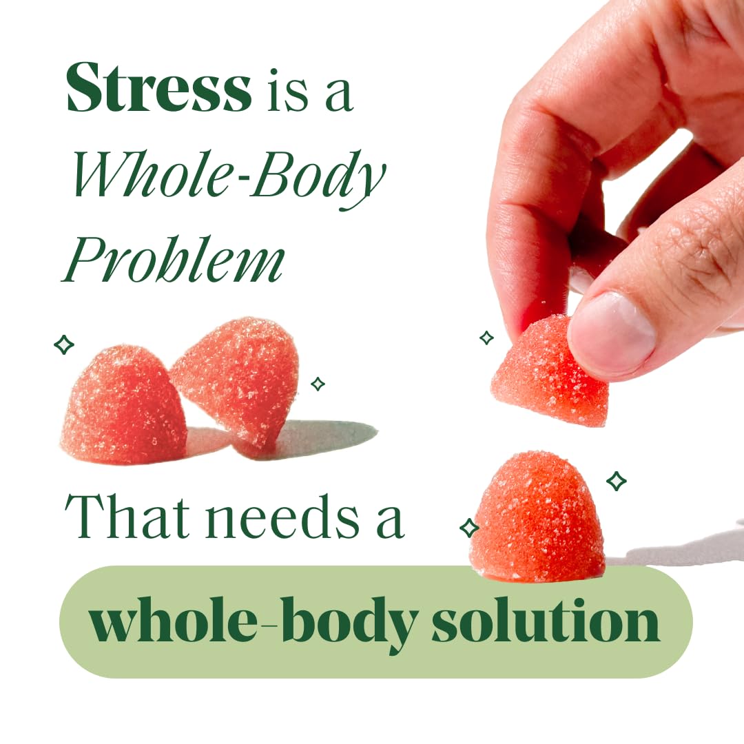 Semaine Stress Less Gummy with Cortisol Care™ 60 Count – Daily Support for Stress, Mood & Sleep - dailyvitalstore