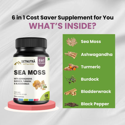 SETNUTRA Well From Within Sea Moss 6 in 1 Super Blend Ashwagandha Burdock Turmeric & Bladderwrack Immunity & Detox Support 60 Veg Capsules Non GMO No Gluten - dailyvitalstore