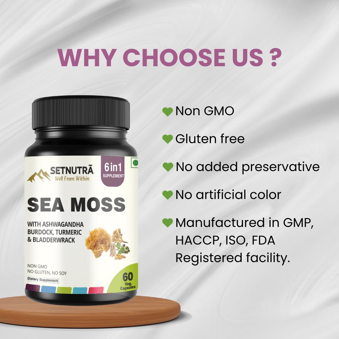 SETNUTRA Well From Within Sea Moss 6 in 1 Super Blend Ashwagandha Burdock Turmeric & Bladderwrack Immunity & Detox Support 60 Veg Capsules Non GMO No Gluten - dailyvitalstore