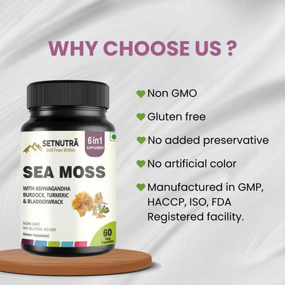 SETNUTRA Well From Within Sea Moss 6 in 1 Super Blend Ashwagandha Burdock Turmeric & Bladderwrack Immunity & Detox Support 60 Veg Capsules Non GMO No Gluten - dailyvitalstore