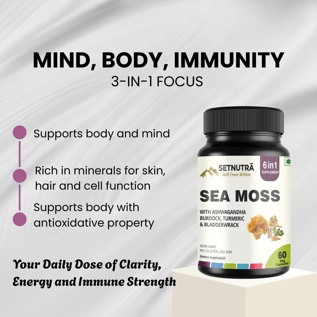 SETNUTRA Well From Within Sea Moss 6 in 1 Super Blend Ashwagandha Burdock Turmeric & Bladderwrack Immunity & Detox Support 60 Veg Capsules Non GMO No Gluten - dailyvitalstore