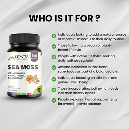 SETNUTRA Well From Within Sea Moss 6 in 1 Super Blend Ashwagandha Burdock Turmeric & Bladderwrack Immunity & Detox Support 60 Veg Capsules Non GMO No Gluten - dailyvitalstore