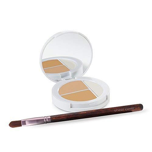 Sheer Cover Studio – Conceal and Brighten Highlight Trio – Two-Toned Concealers – Shimmering Highlighter – Light/Medium Shade – With FREE Concealer Brush – 3 Grams - dailyvitalstore