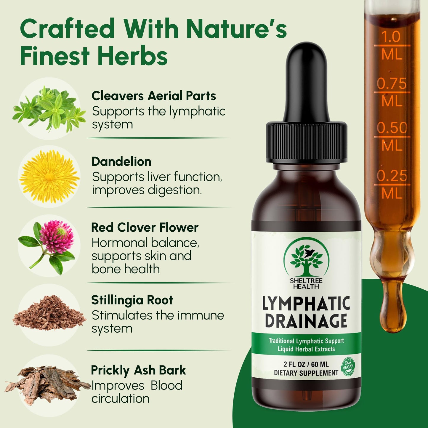 SHELTREE HEALTH Lymphatic Drainage Drops, 2 Fl. Oz | Organic Lymphatic Drainage Supplements with Cleavers, Red Clover Flower, Stillingia Root, Prickly Ash Bark, Dandelion | Vegan | Non-GMO - dailyvitalstore