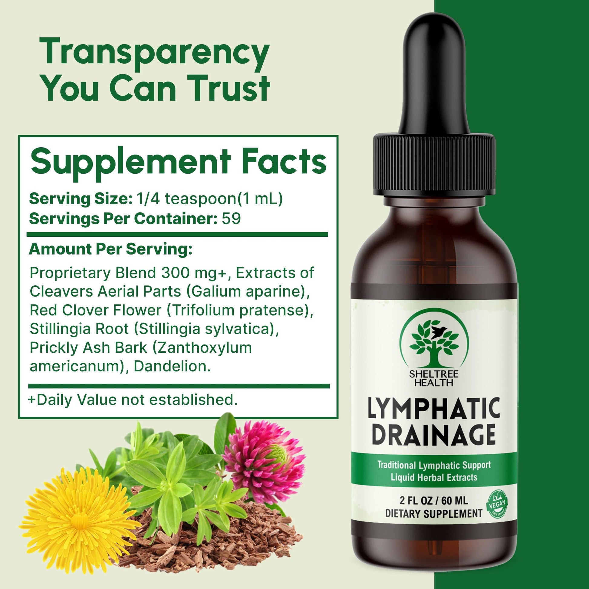 SHELTREE HEALTH Lymphatic Drainage Drops, 2 Fl. Oz | Organic Lymphatic Drainage Supplements with Cleavers, Red Clover Flower, Stillingia Root, Prickly Ash Bark, Dandelion | Vegan | Non-GMO - dailyvitalstore