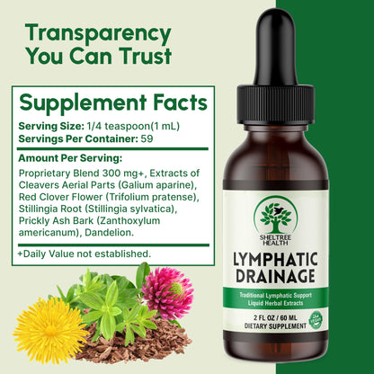 SHELTREE HEALTH Lymphatic Drainage Drops, 2 Fl. Oz | Organic Lymphatic Drainage Supplements with Cleavers, Red Clover Flower, Stillingia Root, Prickly Ash Bark, Dandelion | Vegan | Non-GMO - dailyvitalstore