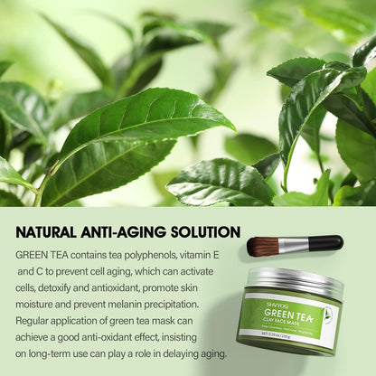 SHVYOG Green Tea Face Mask, Antioxidant Green Tea Clay Mask with Volcanic Mud, Deep Cleansing & Moisturizing & Hydrating Clay Facial Mask - dailyvitalstore