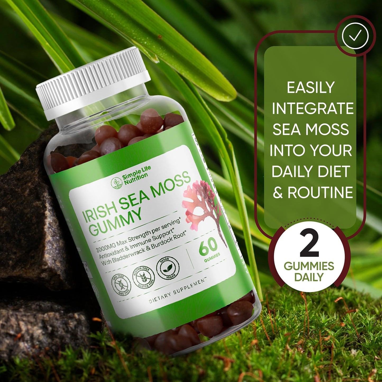 Simple Life Nutrition Organic Irish Sea Moss Gummies - Burdock Root and Bladderwrack Natural Blend - Immune System Gut Cleanse & Thyroid Supplement - Skin and Nail Health - 60CT - dailyvitalstore
