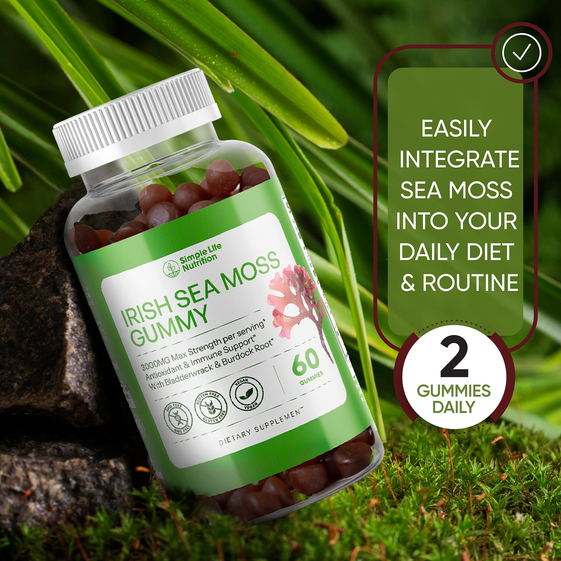 Simple Life Nutrition Organic Irish Sea Moss Gummies - Burdock Root and Bladderwrack Natural Blend - Immune System Gut Cleanse & Thyroid Supplement - Skin and Nail Health - 60CT - dailyvitalstore