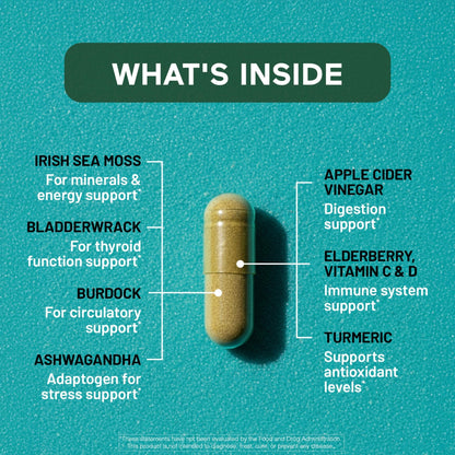 SMARTERNUTRITION Sea Moss Multimineral with Irish Sea Moss with Ashwagandha Bladderwrack Turmeric Zinc Vitamin C Elderberry Dandelion - Non-GMO, USA Manufactured - 60 Capsules[30 Day Supply] - dailyvitalstore
