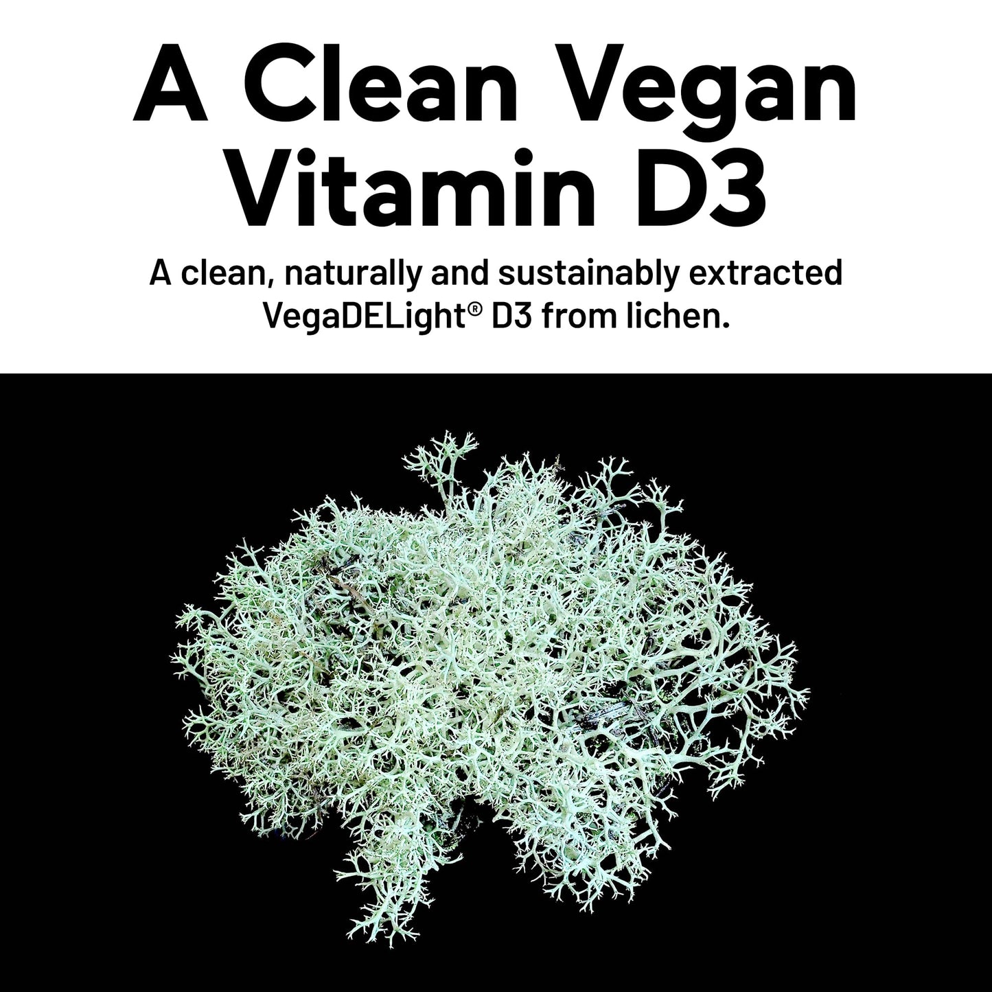 SMARTERNUTRITION Vegan Vitamin D3 5000 IU + Natural Vitamin K2 1100 mcg in Organic Coconut & Olive Oil - D3 K2 Supplement for Immune & Bone Support - 60 Softgels[30 Day Supply] - dailyvitalstore