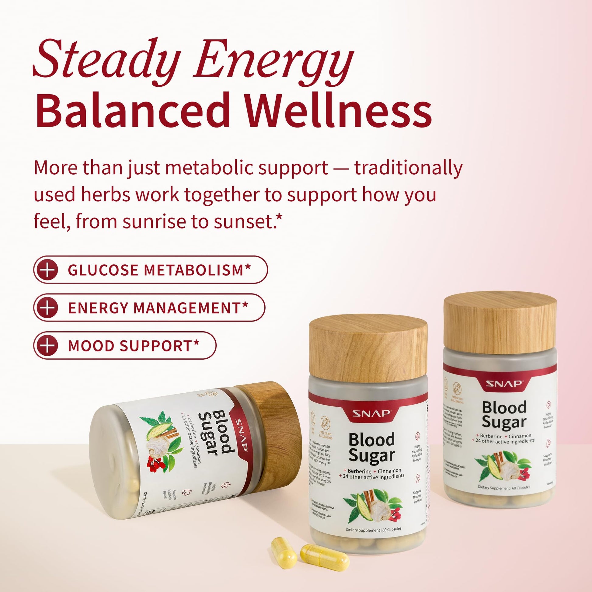 Snap Supplements Blood Sugar Blend, CoQ10, Cinnamon, and Gymnema to Support Already Healthy Blood Sugar, Metabolic Health and Energy, - dailyvitalstore