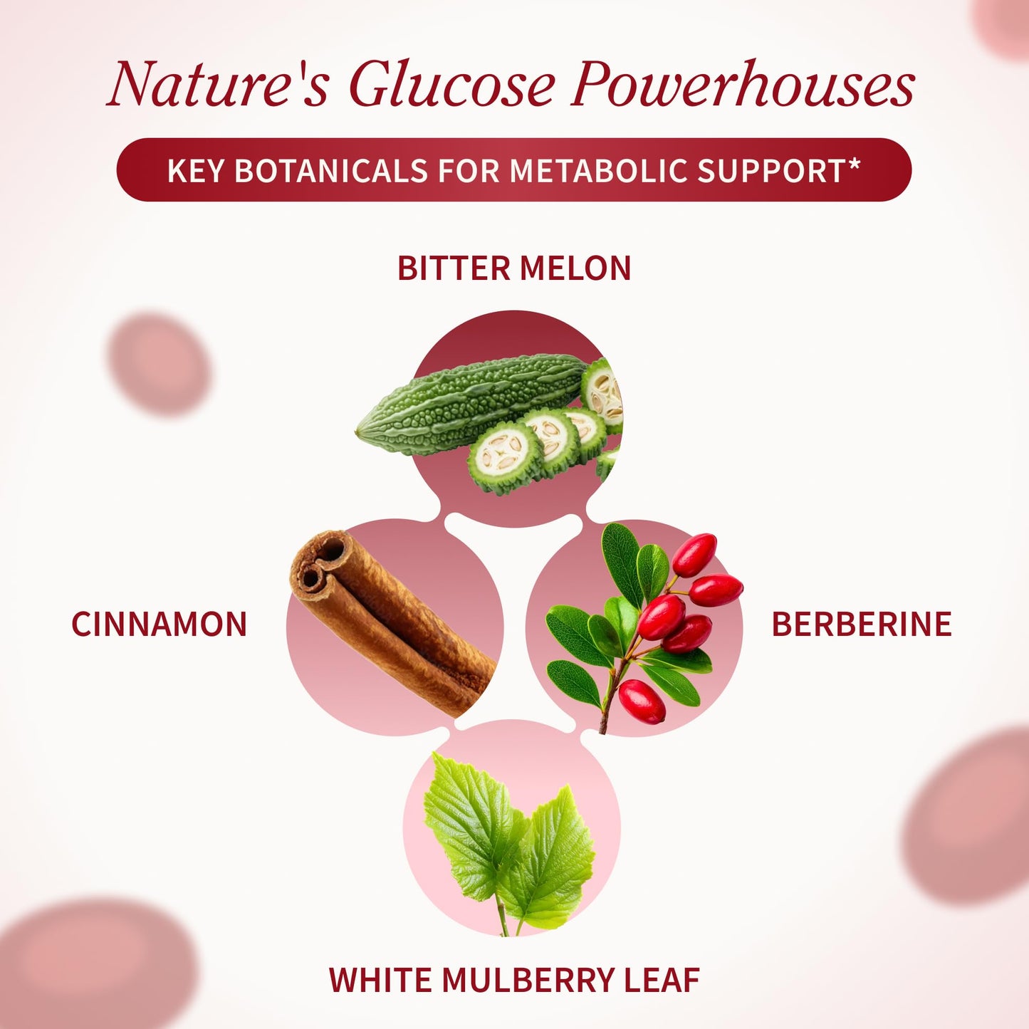 Snap Supplements Blood Sugar Blend, CoQ10, Cinnamon, and Gymnema to Support Already Healthy Blood Sugar, Metabolic Health and Energy, - dailyvitalstore