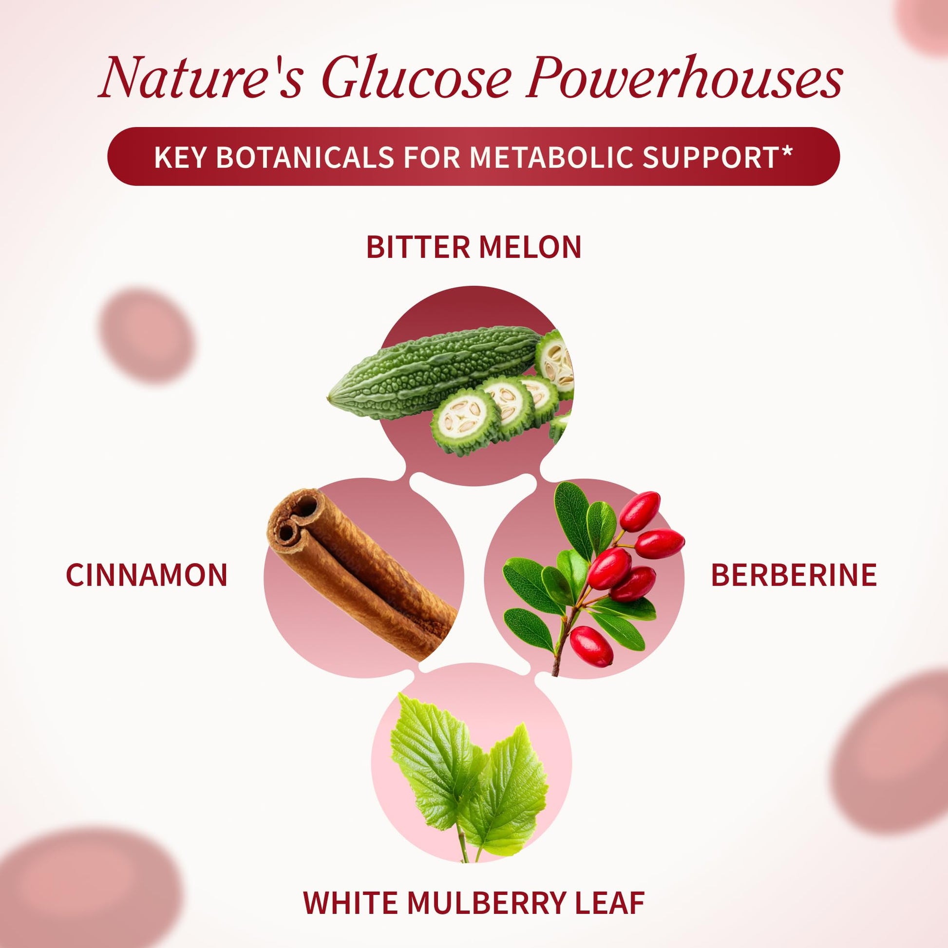 Snap Supplements Blood Sugar Blend, CoQ10, Cinnamon, and Gymnema to Support Already Healthy Blood Sugar, Metabolic Health and Energy, - dailyvitalstore