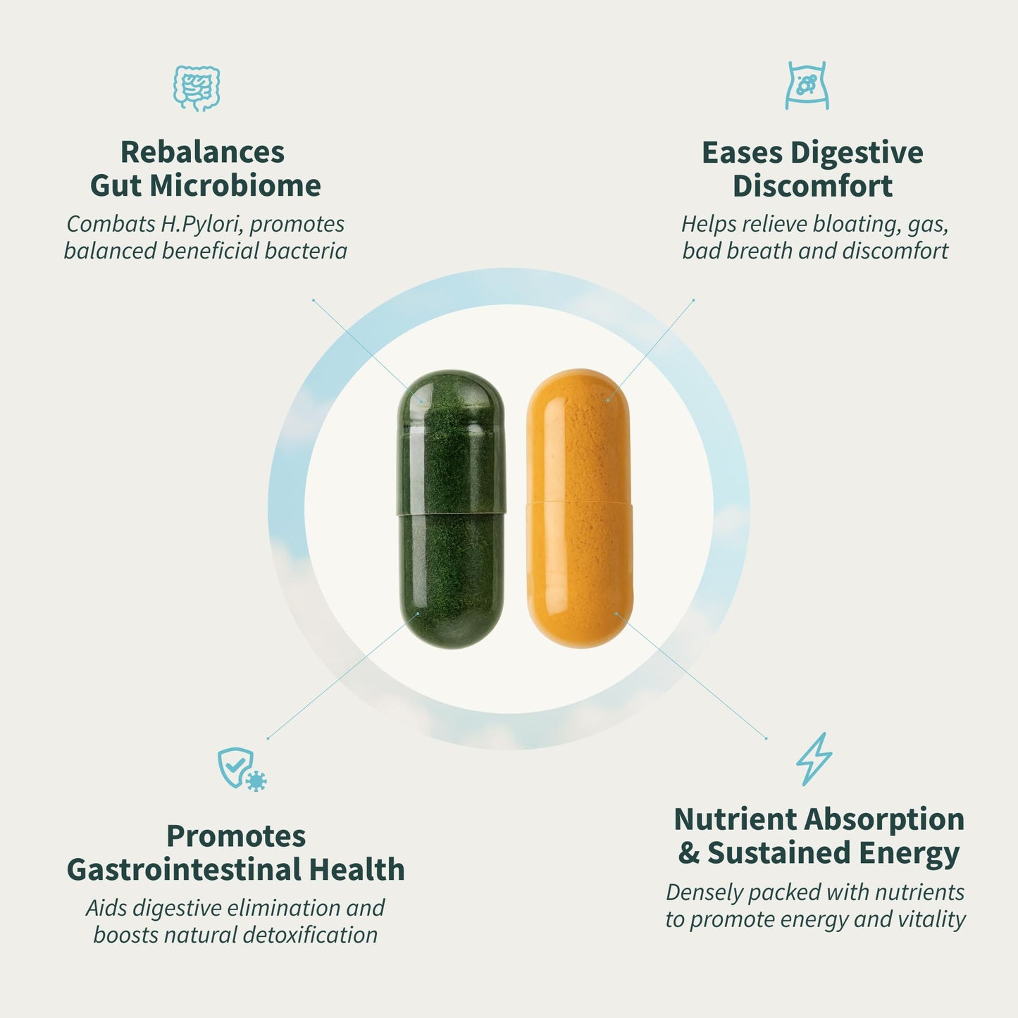 Snap Supplements Gut Health Lipase Supplement & Organic Spirulina Chlorella Bundle–Probiotic + Greens–Supports Digestion, Detox, Energy & Immune Health, 50 - dailyvitalstore
