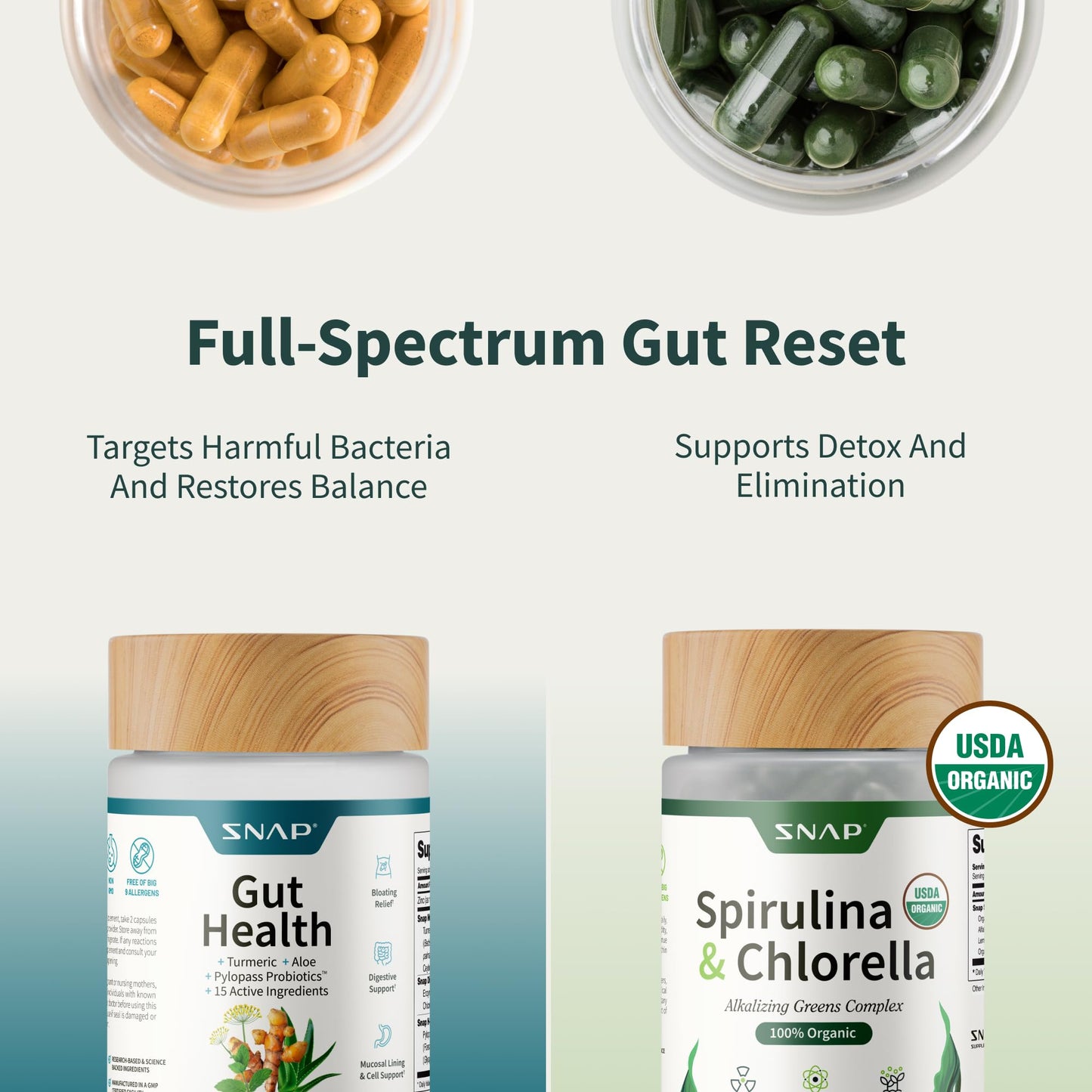 Snap Supplements Gut Health Lipase Supplement with Probiotics for Women & Men, Digestive Enzymes & Prebiotics - Turmeric, Aloe - dailyvitalstore
