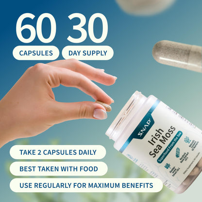 Snap Supplements Irish Sea Moss with Bladderwrack, Burdock Root & Iodine – Natural Sea Moss Supplement to Support Gut Health, Energy & Healthy-Looking Skin, 60 Vegan Capsules (1 Month Supply) - dailyvitalstore