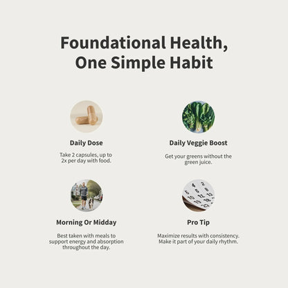 Snap Supplements Men's Multivitamins - Daily Vitamins & Minerals for Men - Vitamin D, B12, Zinc, Herbs & Vitamin C - dailyvitalstore