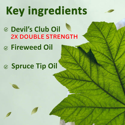 Snowy Summit Alaska Rainforest 2X Salve Stick - Salve for Dry Skin & Joint Relief - Natural Salve for Soothing Skin with Gentle Aroma - Body & Hand Salve - Muscle Rub Alaskan Devil’s Club Oil - dailyvitalstore