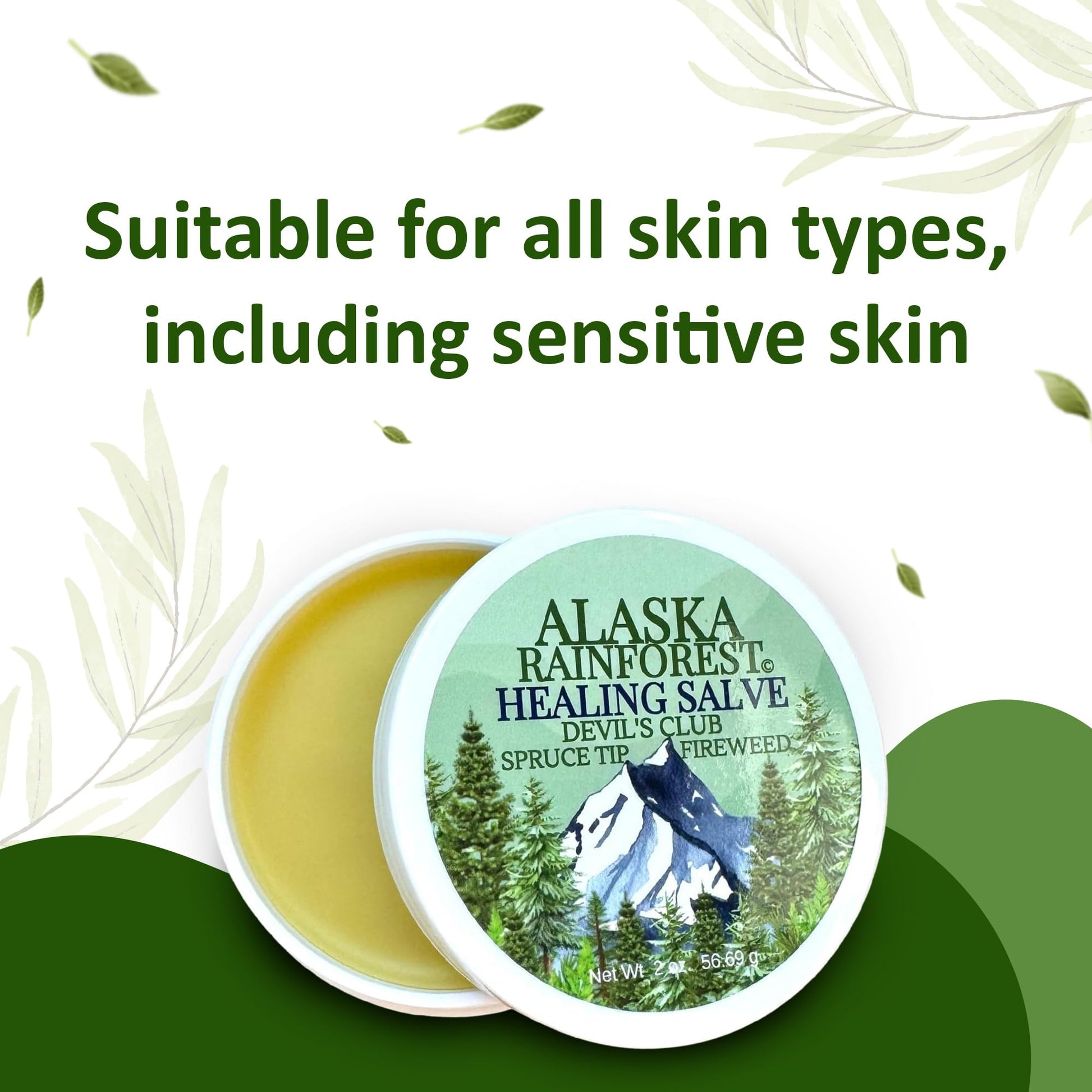 Snowy Summit Alaska Rainforest Salve - Herbal Salve for Dry Skin & Joint Relief - Natural Super Salve for Soothing Skin with Gentle Aroma - Body & Hand Salve - Muscle Rub with Alaskan Devil’s Club Oil - dailyvitalstore