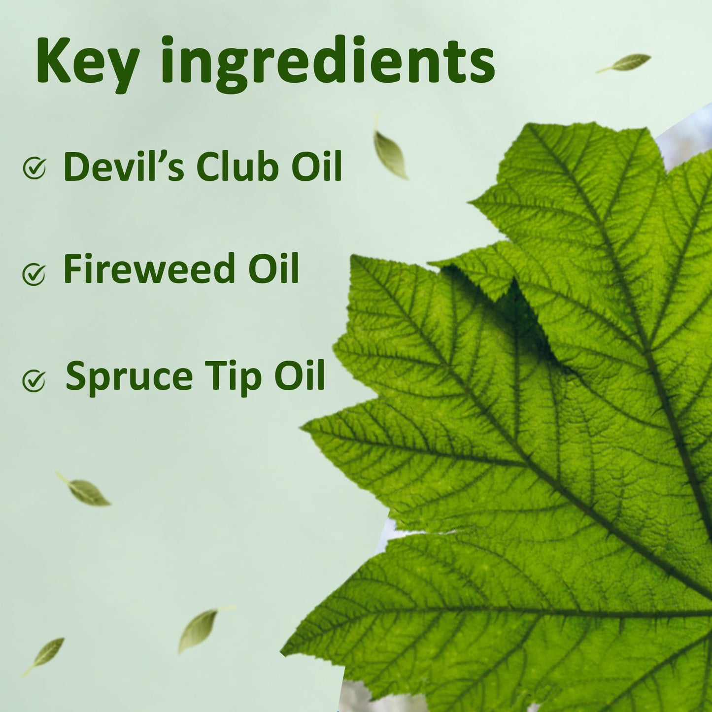 Snowy Summit Alaska Rainforest Salve - Herbal Salve for Dry Skin & Joint Relief - Natural Super Salve for Soothing Skin with Gentle Aroma - Body & Hand Salve - Muscle Rub with Alaskan Devil’s Club Oil - dailyvitalstore