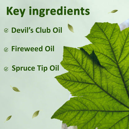 Snowy Summit Alaska Rainforest Salve - Herbal Salve for Dry Skin & Joint Relief - Natural Super Salve for Soothing Skin with Gentle Aroma - Body & Hand Salve - Muscle Rub with Alaskan Devil’s Club Oil - dailyvitalstore