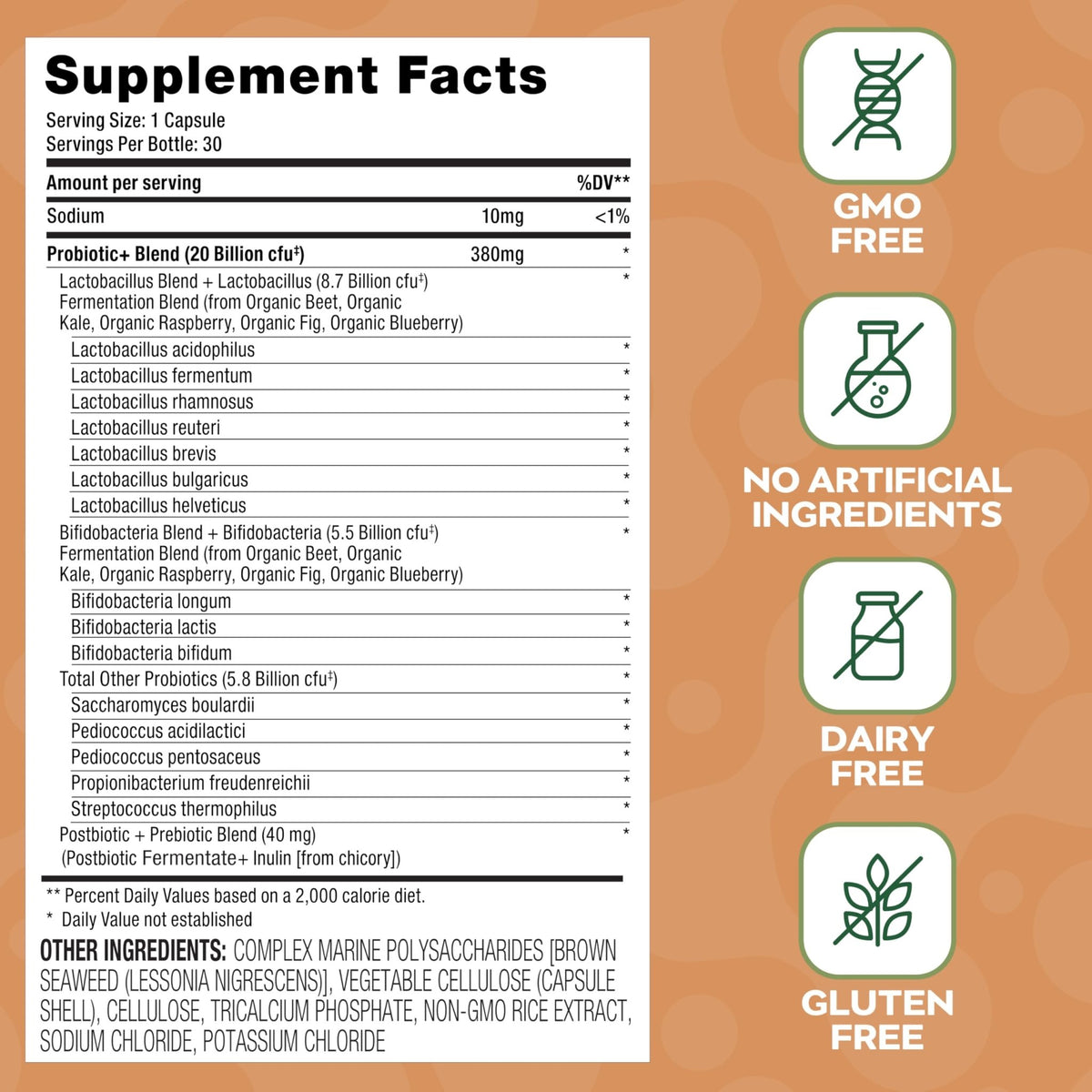 Social Naturals Daily Probiotic Capsules for Gut Health & Bloating | Bifidobacterium | Multi-Strain with Prebiotic + Postbiotic | 20 Billion CFU | Vegan | 30 Capsules - dailyvitalstore