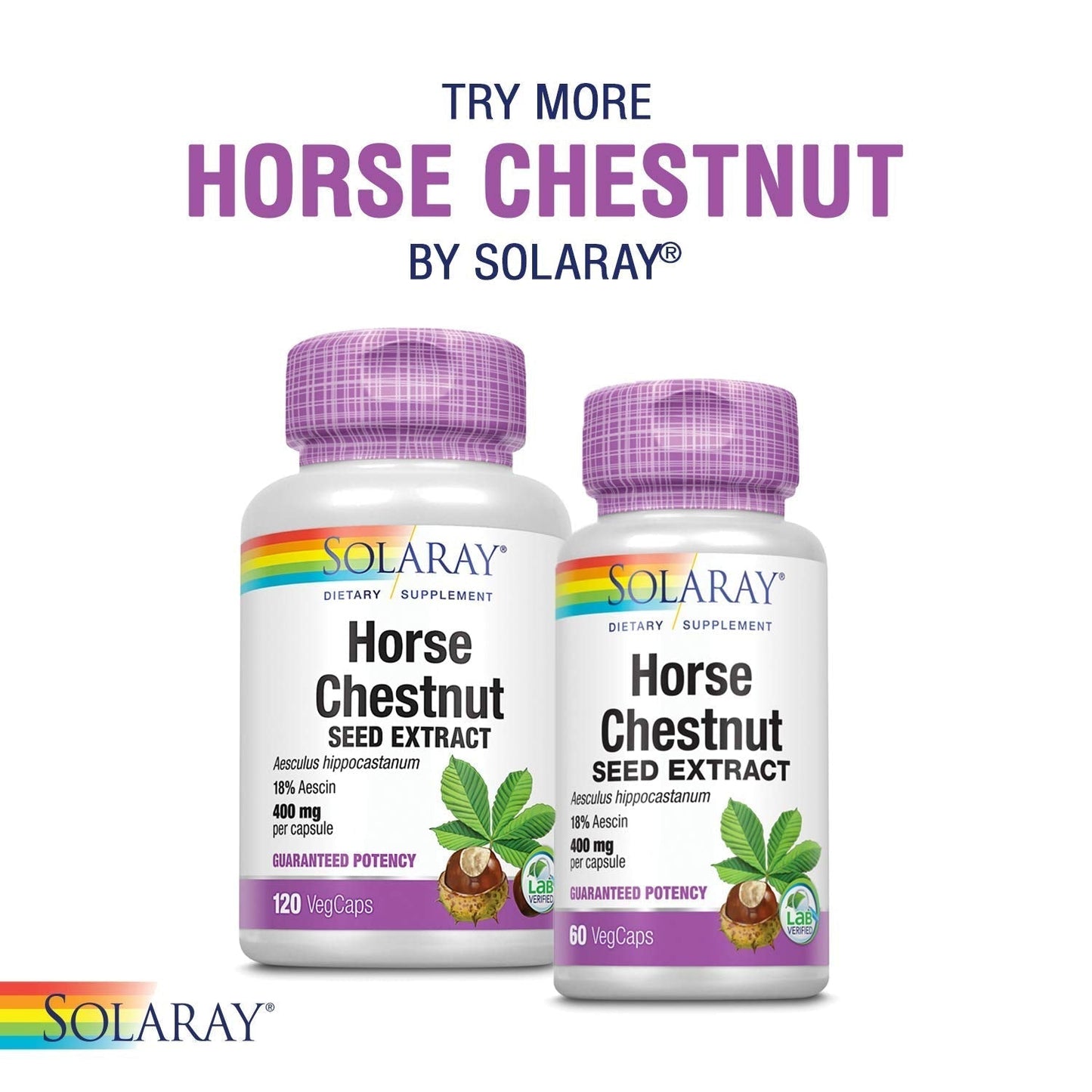 SOLARAY Circulegs - Herbal Supplements for Wellness Support w/Horse Chestnut Extract and Vitamin C, Plus Gotu Kola, Flavonoids, Hesperidin Blend - Vegan, Gluten Free, 60-Day Guarantee - 30 Servings - dailyvitalstore