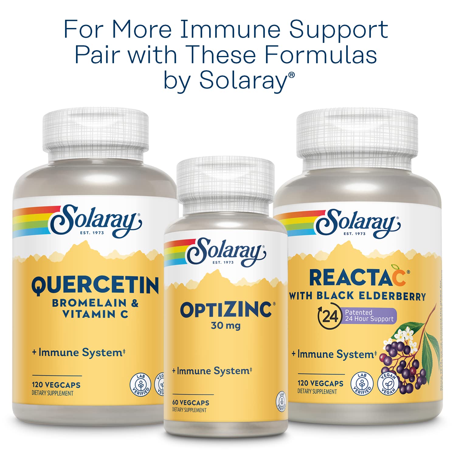 SOLARAY L-Lysine Monolaurin Immune Support Supplement, 1:1 Ratio for Immune System Function, 500 mg Each, 60-Day Money Back Guarantee - dailyvitalstore