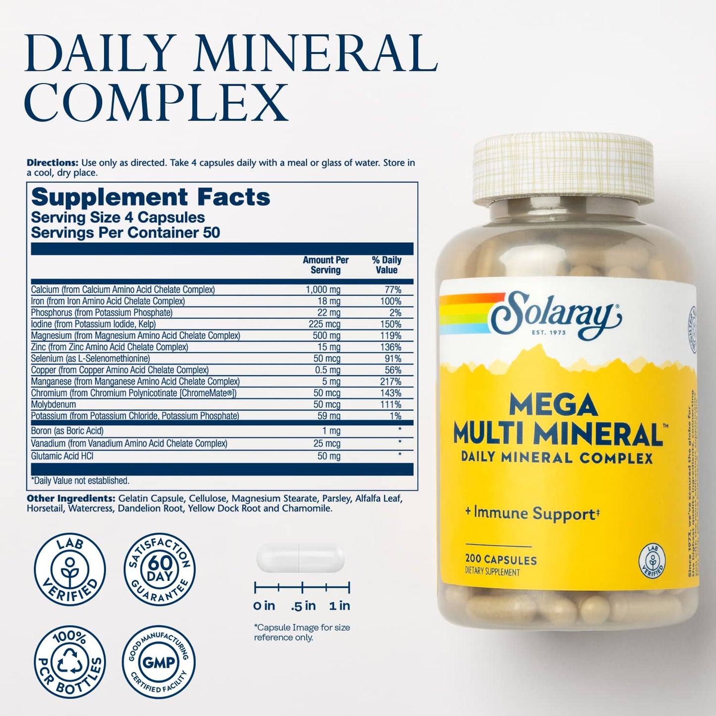 Solaray Mega Multi Mineral | 200 Capsules - dailyvitalstore