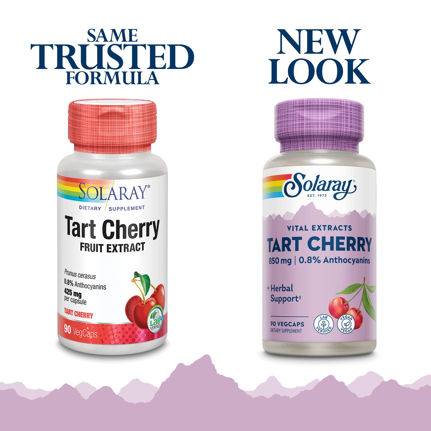 Solaray Tart Cherry Fruit Extract 850 mg - Tart Cherry Supplement with Antioxidants, Fruit Juice Extract with Flavonoids - 90 VegCaps - dailyvitalstore