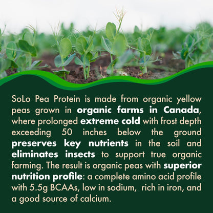 SOLO Organic Pea Protein Isolate, Low in Sodium, Canada Grown Peas, 100% Vegan, Non-GMO, Unflavored Plant Based Protein Powder with BCAA, Keto & Paleo Friendly, - dailyvitalstore