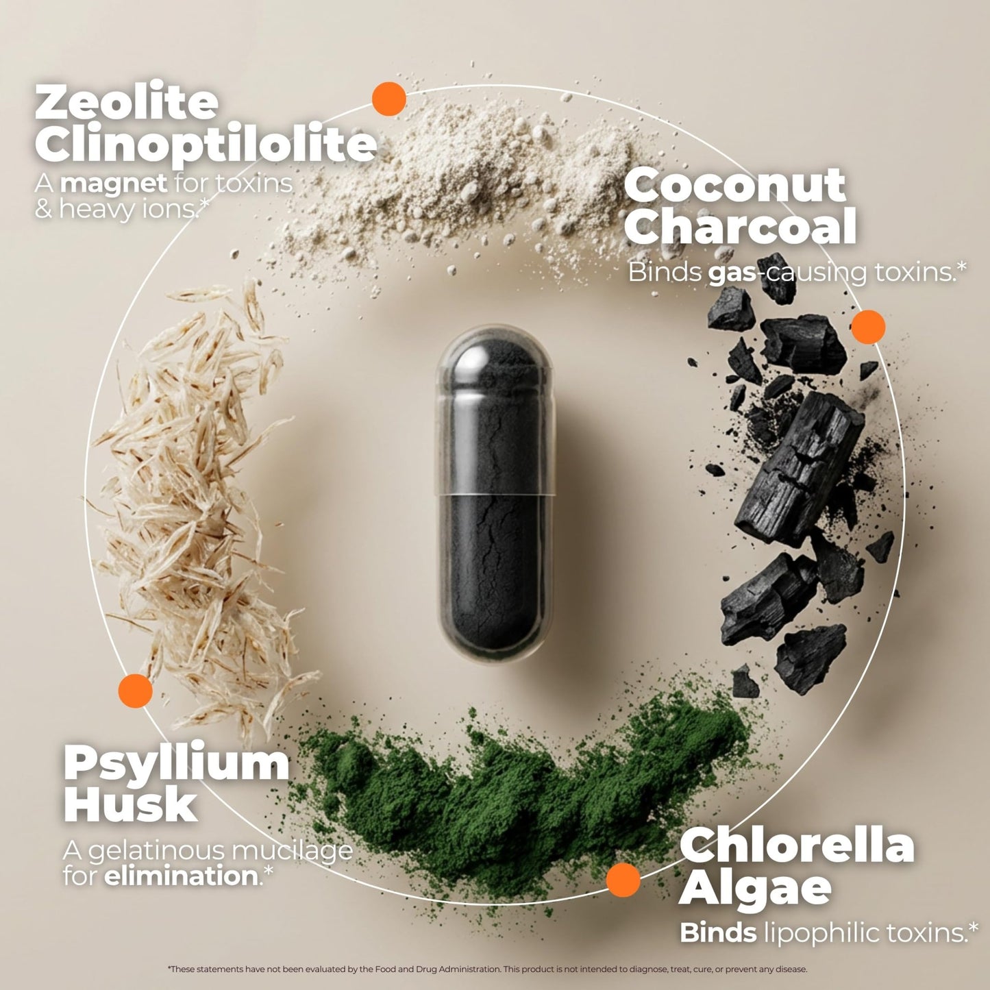 SORBOLIT Colon Cleanse Formula + Debloat - Zeolite Detox, Chlorella, Activated Charcoal & Psyllium Husk Fiber for Gut Health, Gut Cleanse, - dailyvitalstore