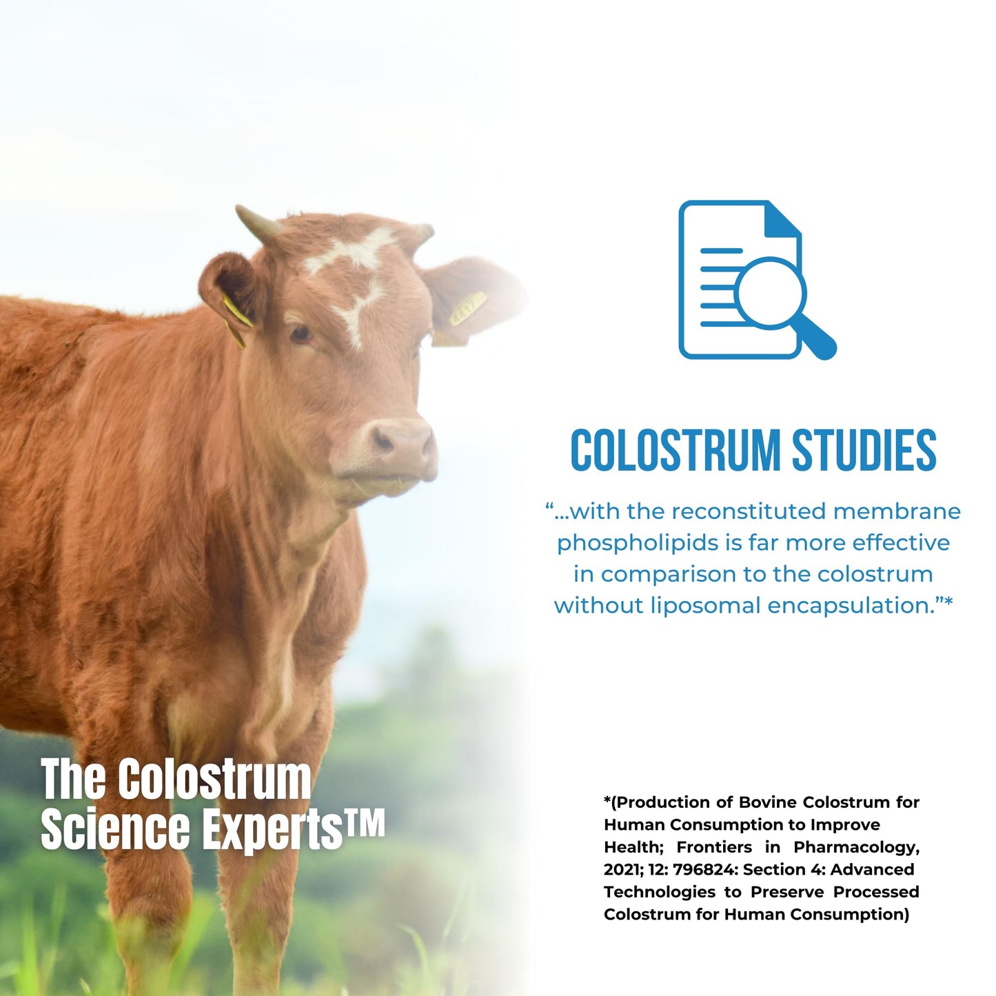 Sovereign Laboratories Colostrum-LD Powder | Unflavored | Liposomal Delivery, Max Absorption | 6 oz/ 34 Servings - dailyvitalstore