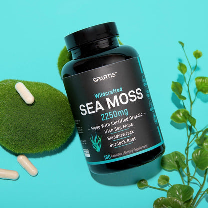 SPARTIS Certified Organic Sea Moss Capsules 2250mg Wildcrafted Irish Sea Moss Burdock Root Bladderwrack Supplement Raw Seamoss Pills & Powder (Pack of 1 at 180-Caps) - dailyvitalstore