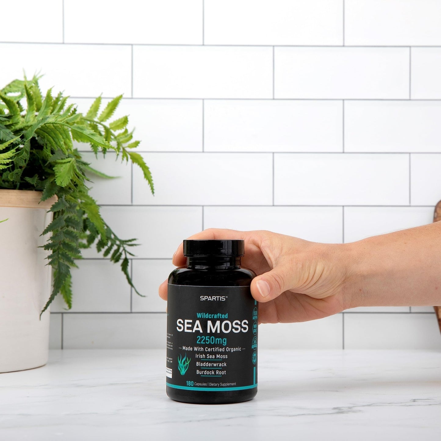 SPARTIS Certified Organic Sea Moss Capsules 2250mg Wildcrafted Irish Sea Moss Burdock Root Bladderwrack Supplement Raw Seamoss Pills & Powder (Pack of 1 at 180-Caps) - dailyvitalstore