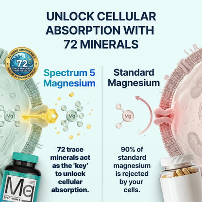 Spectrum 5 Magnesium Complex for Women & Men | Patented Aqua-Ionic® 5X Absorption Technology | 500mg Glycinate, Citrate, Malate + 72 Trace Minerals | Deep Sleep, Leg Cramp Relief & Calm | Non-Laxative - dailyvitalstore