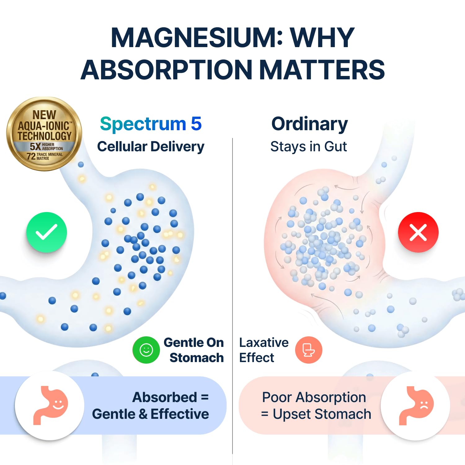 Spectrum 5 Magnesium Complex for Women & Men | Patented Aqua-Ionic® 5X Absorption Technology | 500mg Glycinate, Citrate, Malate + 72 Trace Minerals | Deep Sleep, Leg Cramp Relief & Calm | Non-Laxative - dailyvitalstore